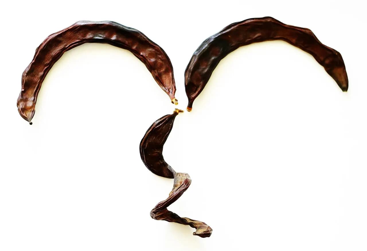 Carob