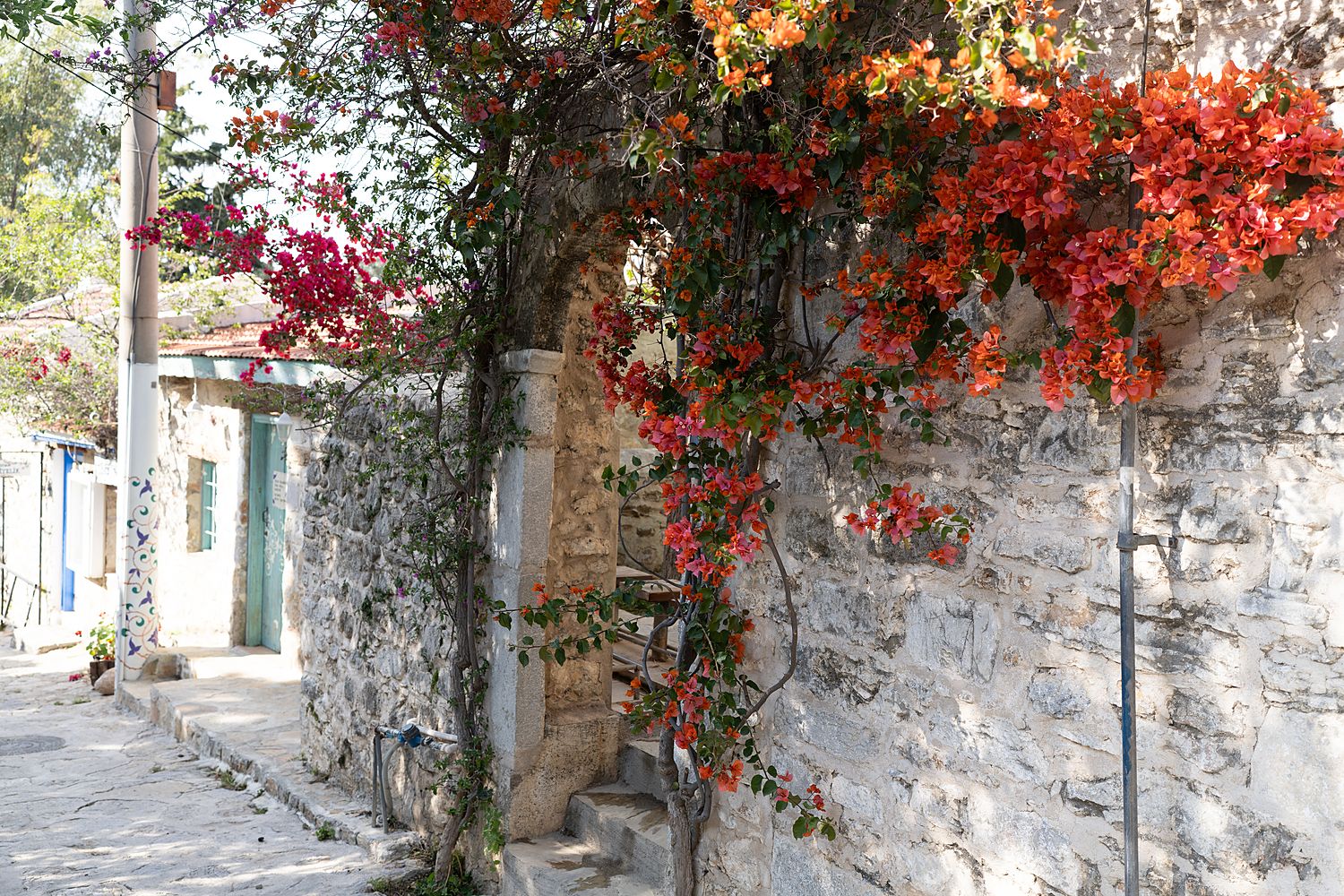 A frame from Eski Datça