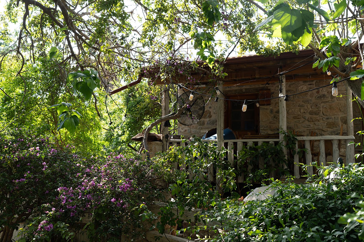 A frame from Eski Datça